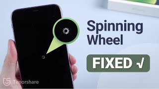 The Easiest Way to Fix iPhone Black Screen Spinning Wheel 2023