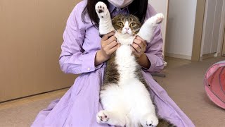 遊びに来たおっさんの妹にされるがままになった猫がこちら…w