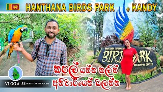 Birds Park @ Hanthana in Kandy | VLOG # 54 | මහනුවර හන්තාන කුරුළු උයන