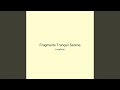 Fragments Tranquil Serene