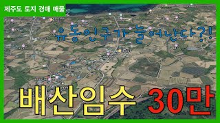 제주도 유명 해변 인근 평당 30만원짜리 토지가 1000평이 나왔네 점점 늘어나는 제주도의 급매급 물건이 늘어나는 제주도의 현실 제 가격 찾아가자