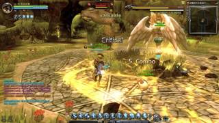 龍之谷 Dragon Nest 祭司奇蹟之手傷害異常 Priest Miracle Relic damage bug