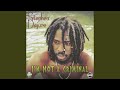 Rastaman Dread