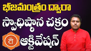 భీజమంత్రం ద్వారా స్వాధిష్ఠాన చక్రం ఆక్టివేషన్ | Marella Sanjeeva Sastry | Sree Sannidhi TV