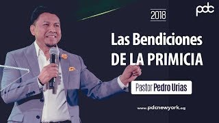 Las Bendiciones De La Primicia