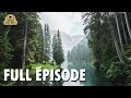 Wild America | S8 E2 'Evergreen' | Wild America Animal Channel