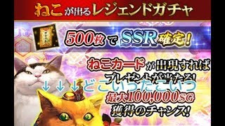 【戦国炎舞】 レジェガチャ　猫リセット！自分もリセット？