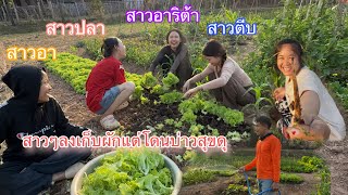 สาวสาวรวมตัวกันบุกสวนผักบ่าวสุขแกล้งบ่าวสุขจนโดนด่า Girls picking vegetables