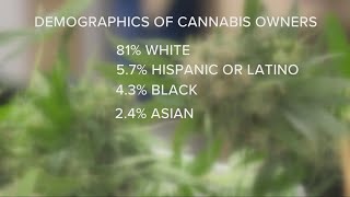 Diversity in cannabis: How do the demographics of Ohio cannabis owners and founders check out?