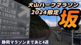 【インターバル】犬山ハーフマラソン2024のコース変更点を下見\u0026名城公園パークラン