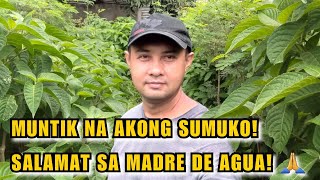 MUNTIK NA AKONG SUMUKO! SALAMAT SA MADRE DE AGUA! | Native pigs!