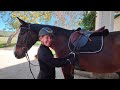 horse riding basics 17 how to get on and get off your horse horse horseriding horserider 805