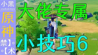 原神 成为大佬必备小技巧 你绝对不知道6.0【小黑】