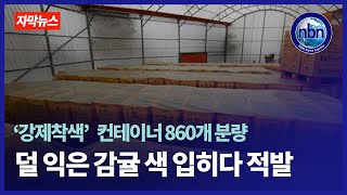 이번엔 '강제착색' 컨테이너 860개 분량 덜 익은 감귤 색 입히다 적발