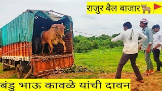 बंडु भाऊ कावळे यांची दावन 😇🌍नादचं नाही करायचा मार्केट जाम केलं भाऊने 🐂#राजुर बैल बाजार🚩#bail bazar