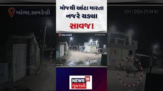 Amreli News | મોજથી આંટા મારતા નજરે ચડ્યા સાવજ! | Lion | Gujarat | Gujarati News | News 18 | N18S