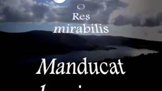 SPSette20-13YouTube-20.01.2013-Panis Angelicus - Karaoke Version.mp4