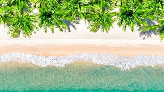 Jazz Music 🌴 Smooth Jazz Bossa Nova 🌴 Relaxing Background Music with the Sound of Ocean Waves