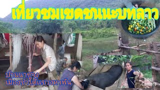 ບ້ານນາຊາງ ເມືອງຊຳໃຕ້ ແຂວງຫົວພັນ เที่ยวชมบ้านนชาง เมืองชำใต้ แขวงหวพัน  #หัวพัน #ลาว