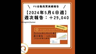 【FX自動売買実績:2024年5月6日週】トライオート週次報告:収支＋29,040円(第19週目)@blogminihomer