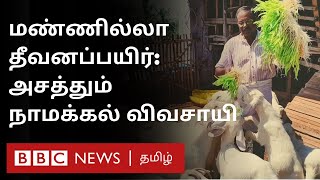 Hydroponics: மண் வேணாம்; தீவனப்பயிர் சாத்தியம் - அசத்தும் நாமக்கல் விவசாயி | Tamil Nadu