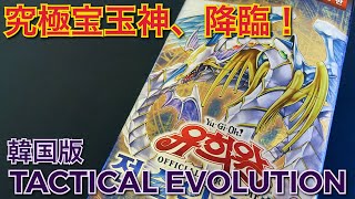 【遊戯王】開封！タクティカルエボリューション 韓国版！1箱 至上最高に大好きなレインボードラゴンをぶち抜きます！神！嗜好すぎる！！