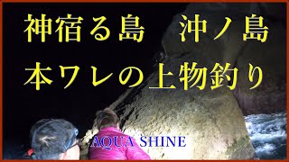 神宿る島　沖ノ島　本ワレの上物釣り