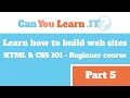 How to use Inline CSS Style Attributes within HTML | HTML Tutorial