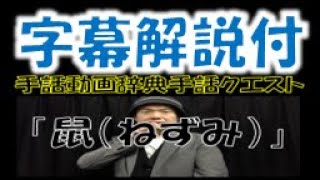 ！字幕版！「ねずみ（生物/動物シリーズ）」（全国手話検定５級・手話技能検定４級）【手話クエスト　レベル２４】 ※字幕あり手話動画で読み取り練習ができます