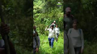 Tiger Reserve காட்டுக்குள்ள ஒரு Adventurous Trekking