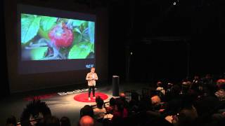 Biomimicry for better design | Andy Middleton | TEDxBedford