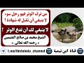 الوتر « لا ينبغي لك أن تدع الوتر » الشيخ محمد_بن_صالح_العثيمين رحمه الله تعالى