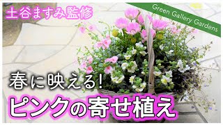 【春の寄せ植え】簡単で素敵な寄せ植えを土谷先生と作ろう！【寄せ植え初心者】【園芸】【ガーデニング】