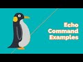 bash echo command