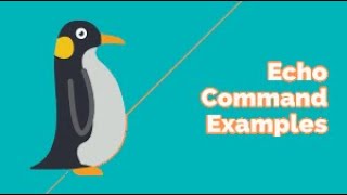 bash echo command