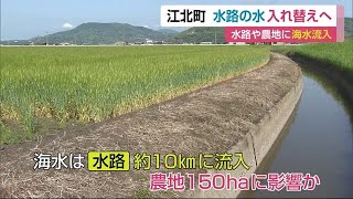 農地に海水流入問題 水路の水入れ替える方針【佐賀県江北町】 (22/04/22 11:40)