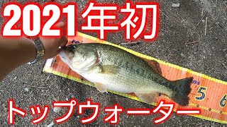 【バス釣り】【榛名湖】トップウォーターの釣りは湖面の状態や透明度によって動かし方を変える