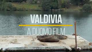 Valdivia, City of Rivers \