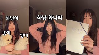 하냥이와 송이 팡이 [프로미스나인]