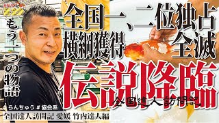 【 職人 】 偉業を成し遂げた伝説の達人！今尚進化をし続ける。その背景には想像を絶する窮地が。誰よりも愛情深い達人に感極まった！　#善金魚ちゃんねる #金魚 #goldfish #らんちゅう