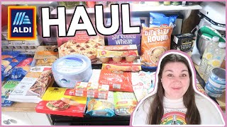 MORE NEW FINDS AT ALDI | 1 Week Grocery Haul \u0026 Meal Plan | ALDI HAUL