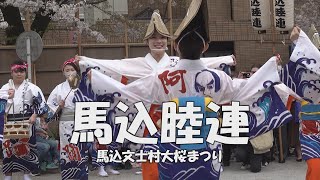 この地に根付いて盛り上がる阿波踊り「馬込睦連」第33回馬込文士村大桜まつり（2023.4.2）