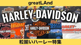 1/24 ハーレー特集‼︎人気の袖フレームデザイン、エンブレムデザインなど人気デザイン多数のラインナップとなっております‼︎是非ご覧ください‼︎ヴィンテージTシャツ