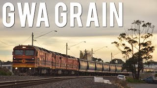 South Australia locomotives in Victoria! (GWA's Grain Train to Geelong) | ALF18, CLP14, CLP17