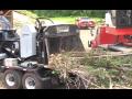 bandit whole tree chippers overview part 1 of 2