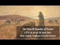 The Fourth Sunday of Easter  - 30 April  2023