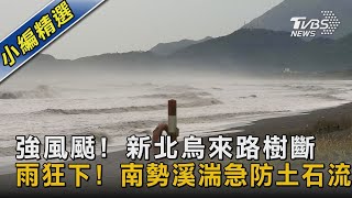 強風颳! 新北烏來路樹斷 雨狂下! 南勢溪湍急防土石流｜TVBS新聞