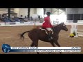 2020 thoroughbred makeover finale field hunter