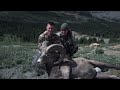 a 9 year journey rocky mountain bighorn sheep hunt alberta boreal huntsman 4k