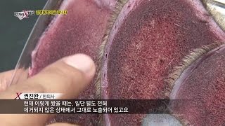 여행길에 구입한 ‘국내산 생 녹용’의 정체!_채널A_먹거리X파일 193회